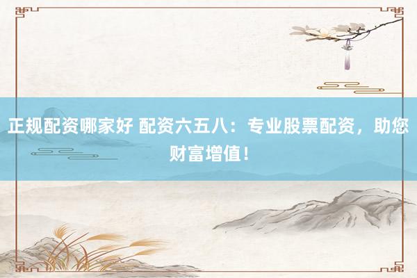 正规配资哪家好 配资六五八：专业股票配资，助您财富增值！