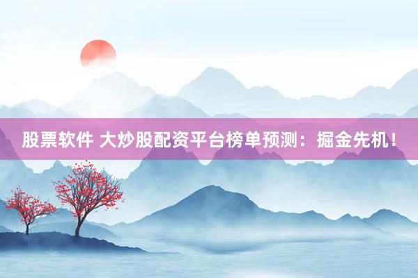 股票软件 大炒股配资平台榜单预测：掘金先机！