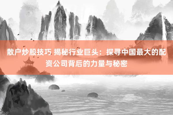 散户炒股技巧 揭秘行业巨头：探寻中国最大的配资公司背后的力量与秘密