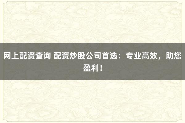 网上配资查询 配资炒股公司首选：专业高效，助您盈利！