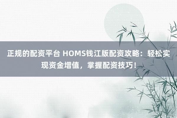 正规的配资平台 HOMS钱江版配资攻略：轻松实现资金增值，掌握配资技巧！