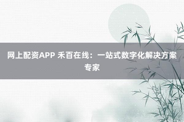 网上配资APP 禾百在线：一站式数字化解决方案专家
