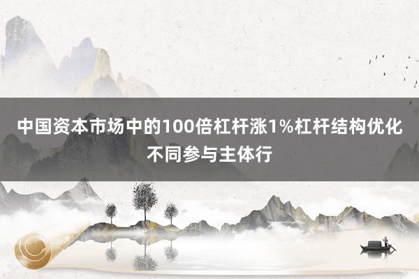 中国资本市场中的100倍杠杆涨1%杠杆结构优化不同参与主体行
