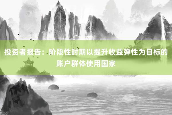 投资者报告：阶段性时期以提升收益弹性为目标的账户群体使用国家