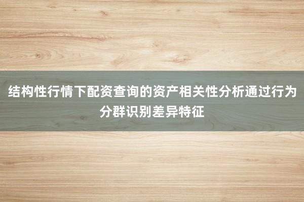 结构性行情下配资查询的资产相关性分析通过行为分群识别差异特征